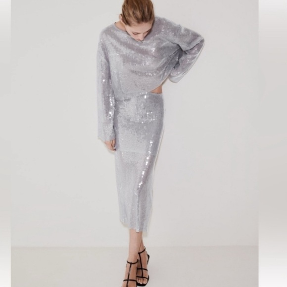 Zara Sequin Skirt (Size Large) - Picture 3 of 5